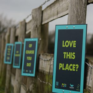 Signposts