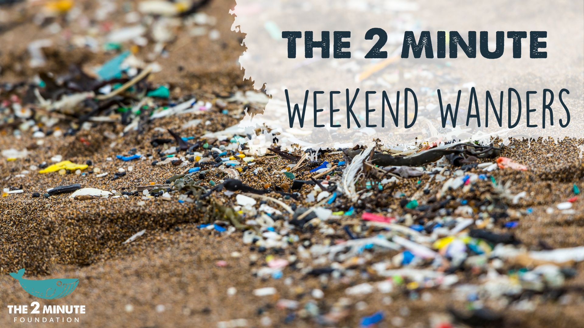 Big Beach Clean