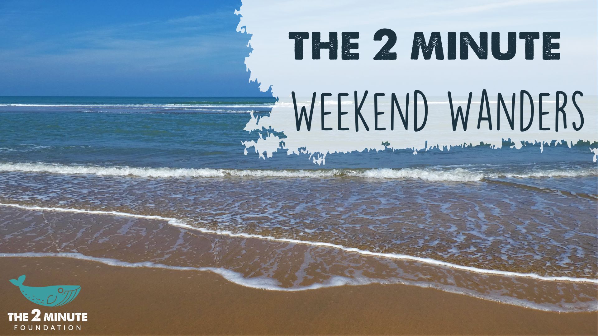 World Ocean Day Beach Clean and Explore